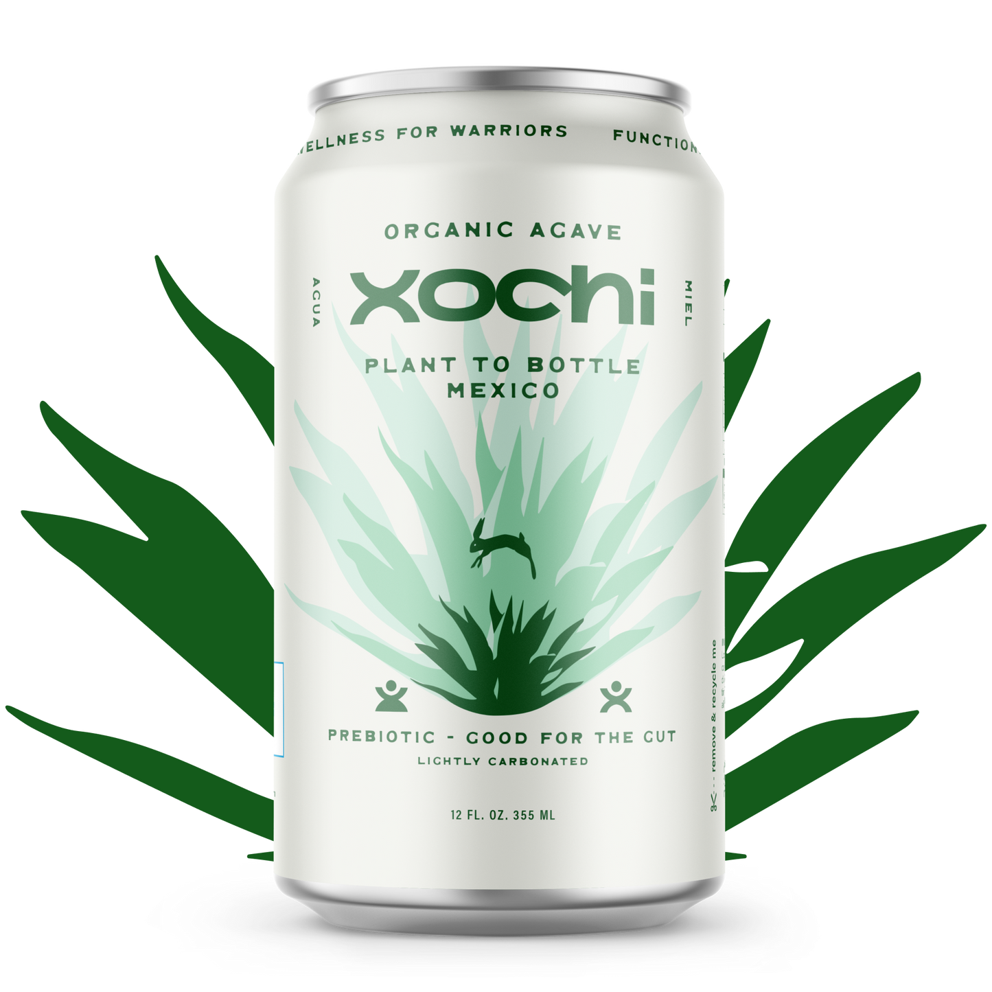 Xochi Crystalized Ginger
